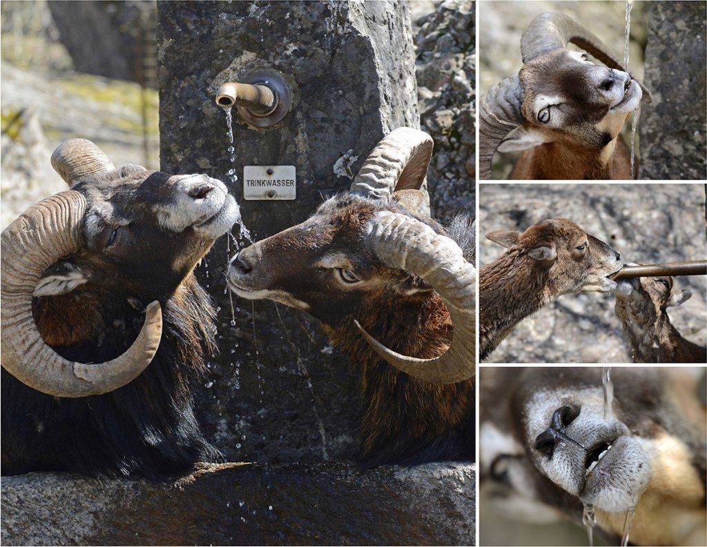 Fotografie Alfons Weber
