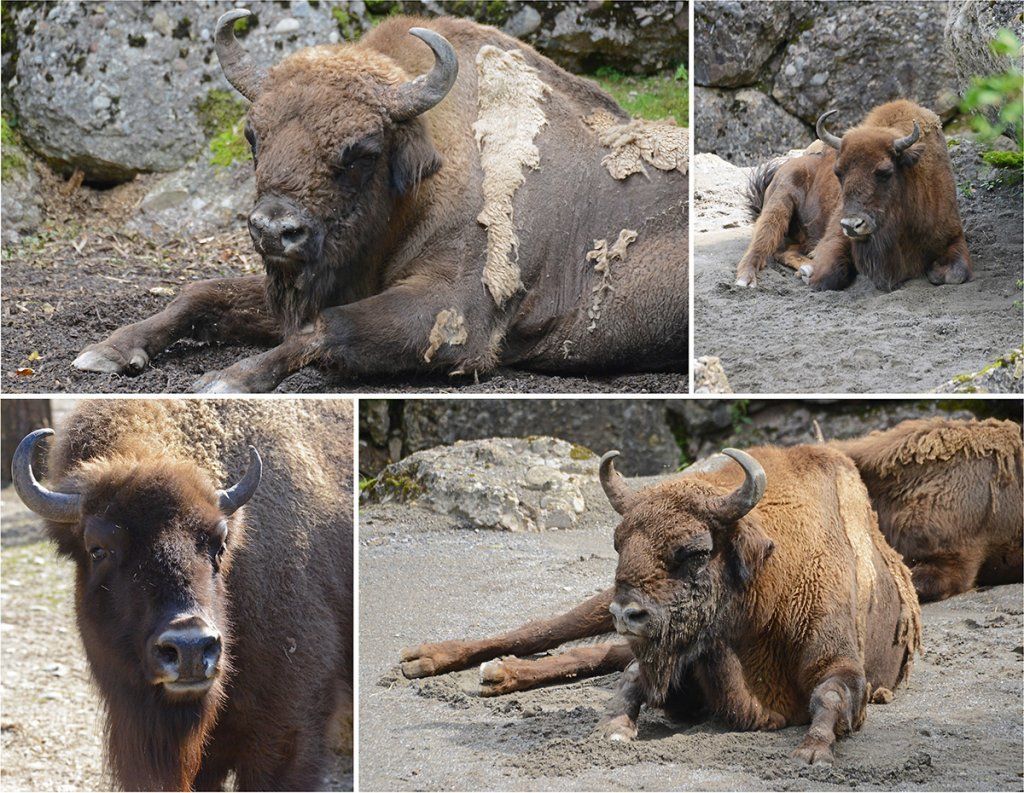 Fotografie Alfons Weber
