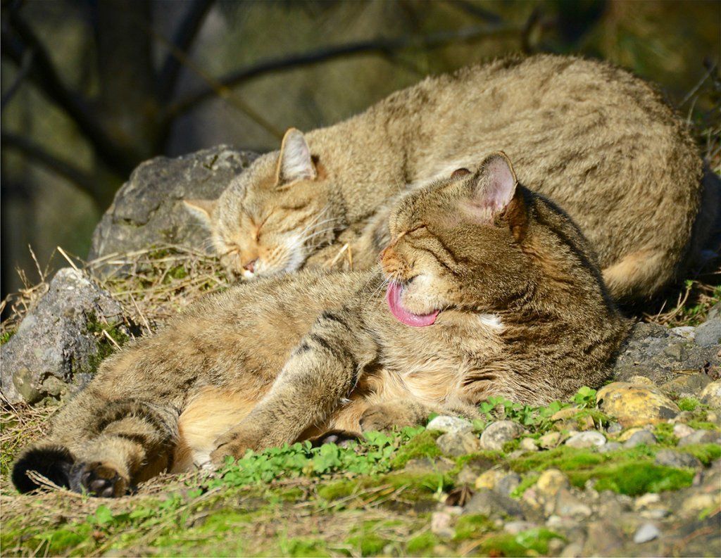 Fotografie Alfons Weber
