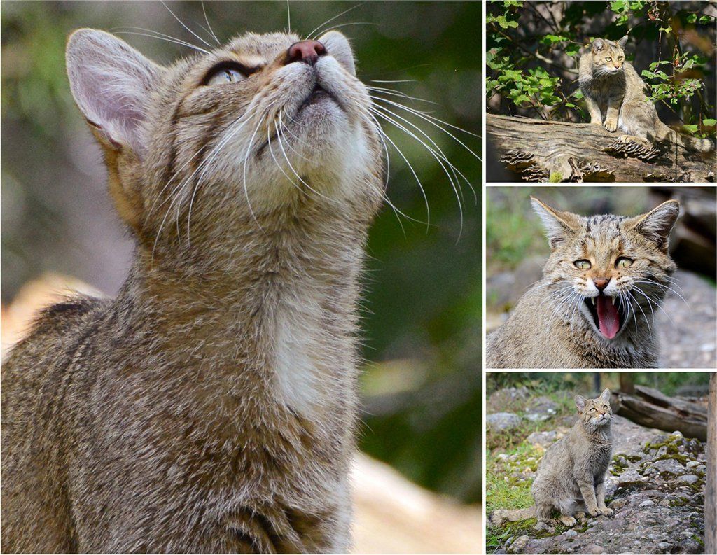 Fotografie Alfons Weber
