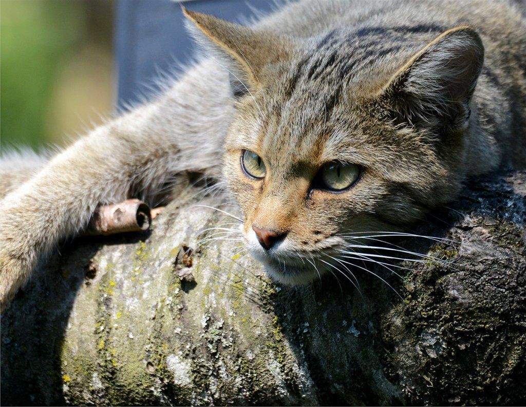 Fotografie Alfons Weber
