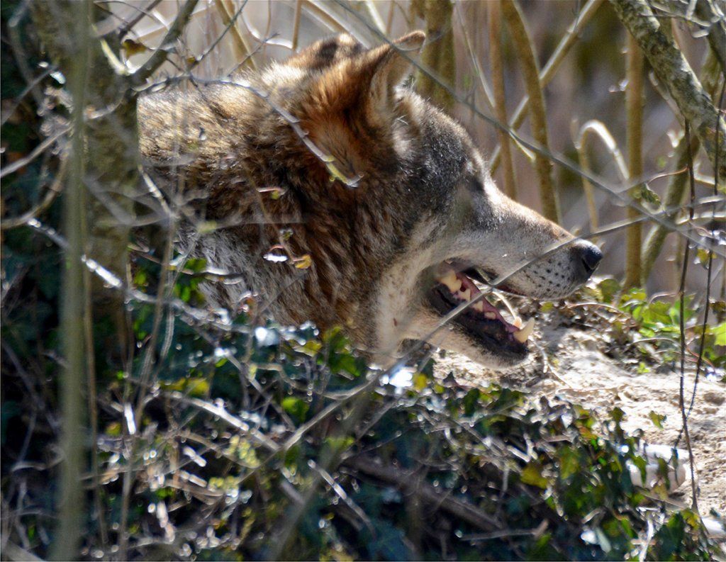 Fotografie Alfons Weber
