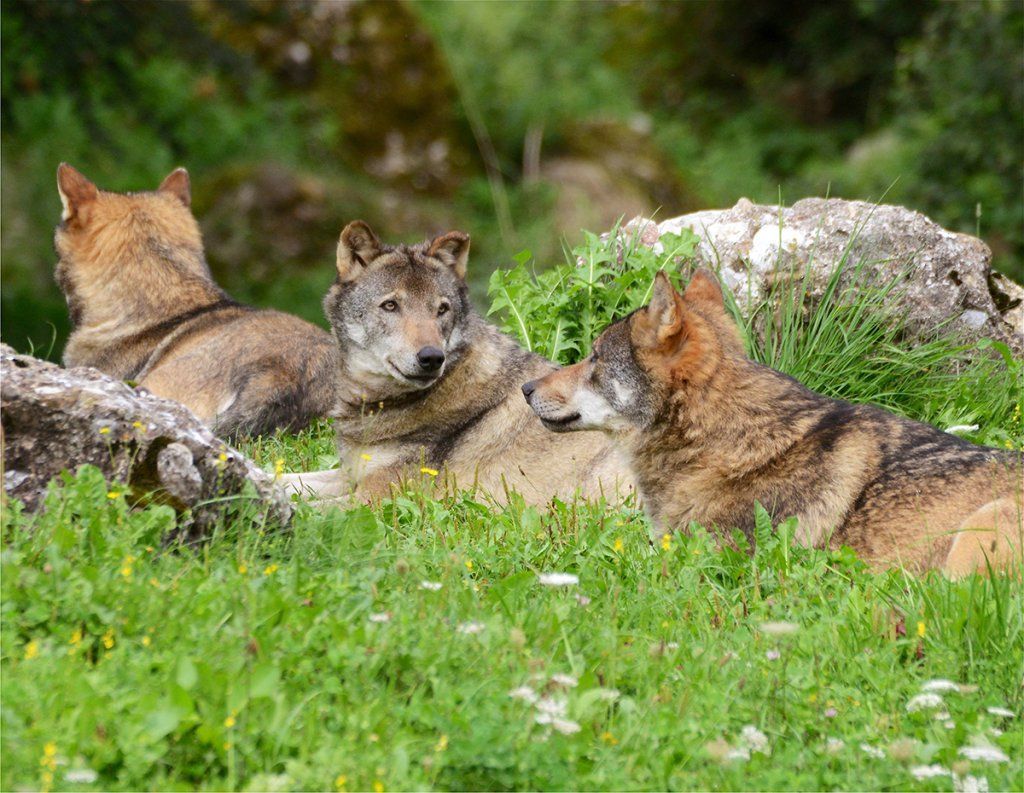 Fotografie Alfons Weber
