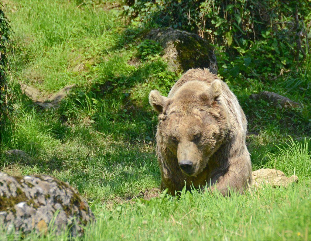 Fotografie Alfons Weber
