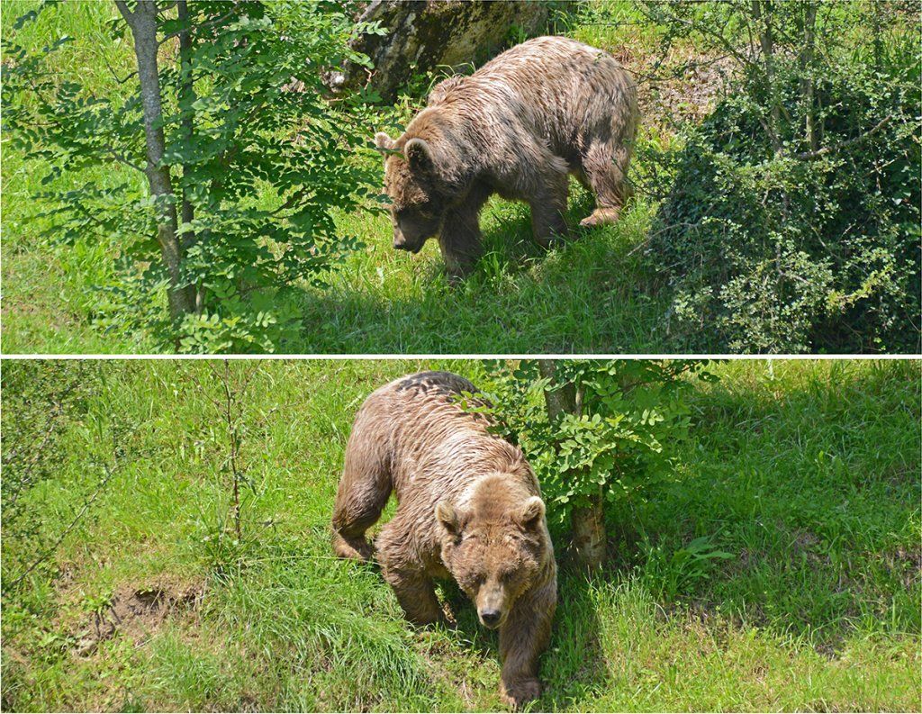 Fotografie Alfons Weber
