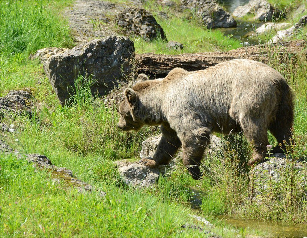 Fotografie Alfons Weber
