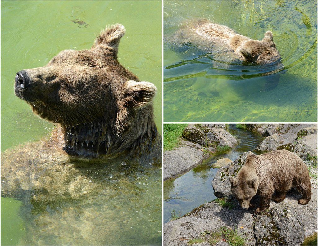 Fotografie Alfons Weber

