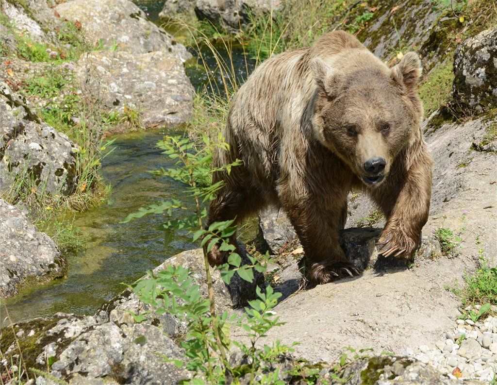Fotografie Alfons Weber
