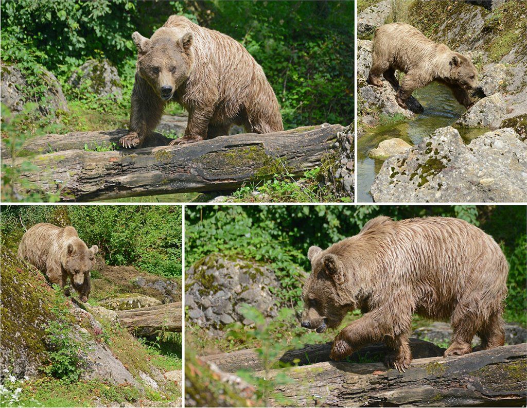 Fotografie Alfons Weber
