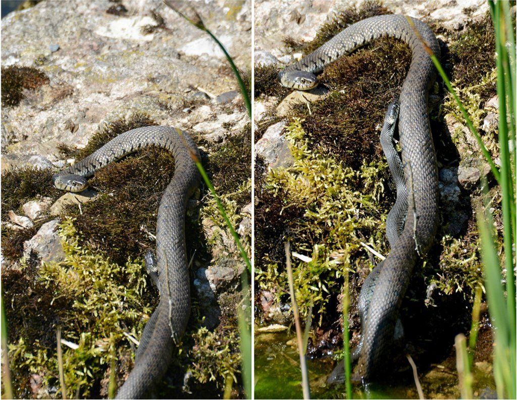 Fotografie Alfons Weber
