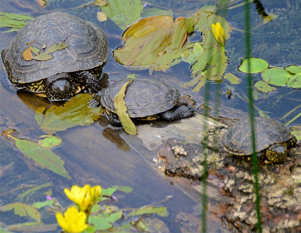 Fotografie Alfons Weber
