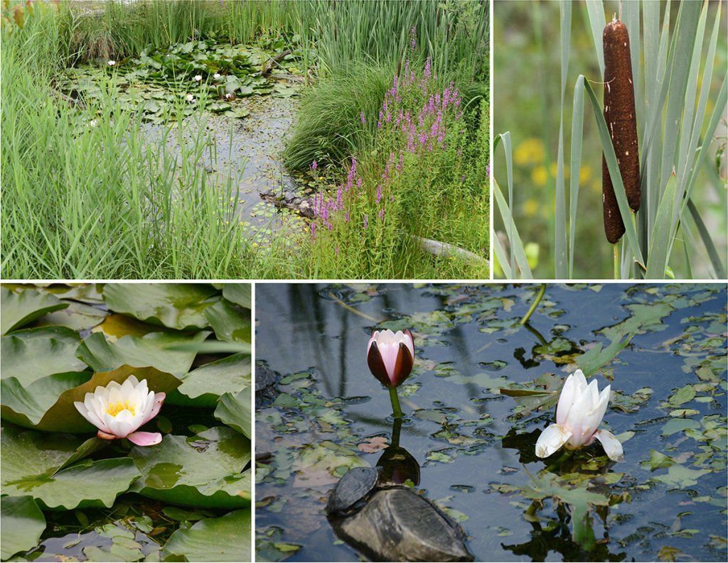 Fotografie Alfons Weber
