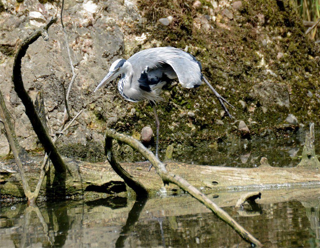 Fotografie Alfons Weber
