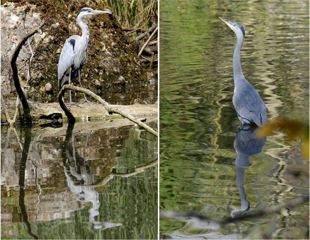 Fotografie Alfons Weber
