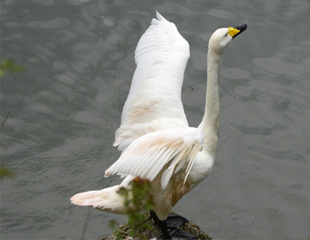 Fotografie Alfons Weber
