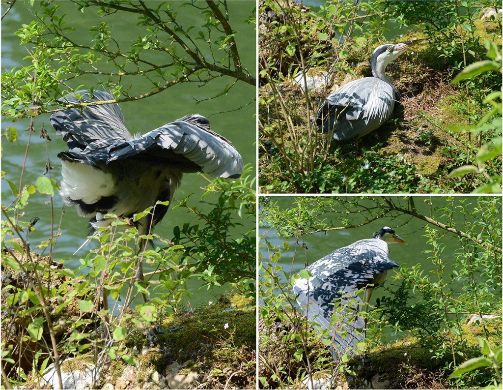 Fotografie Alfons Weber
