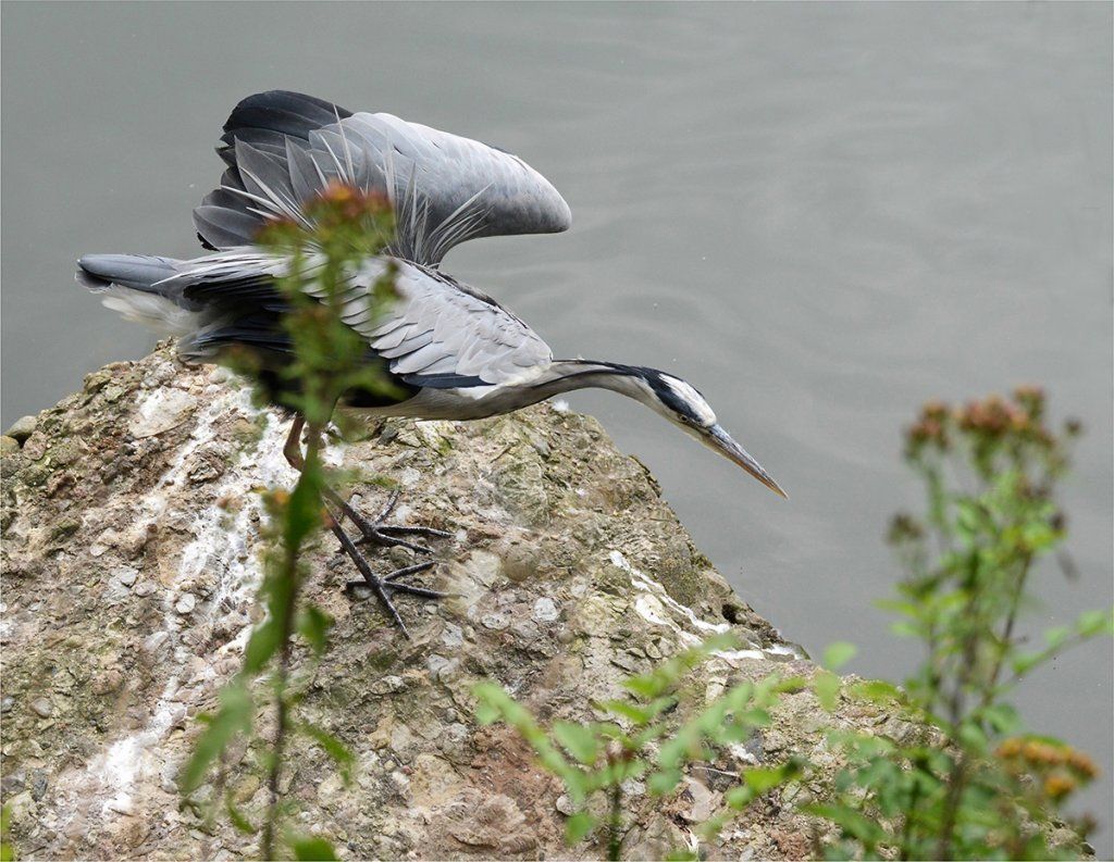 Fotografie Alfons Weber
