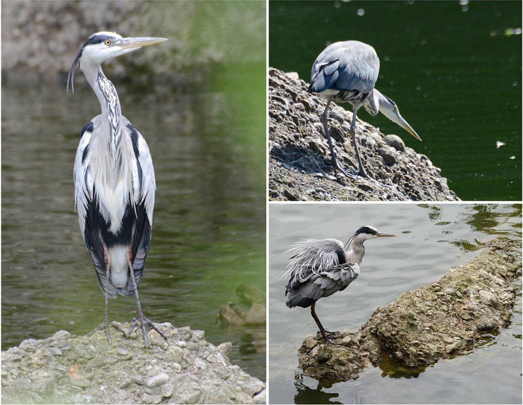Fotografie Alfons Weber
