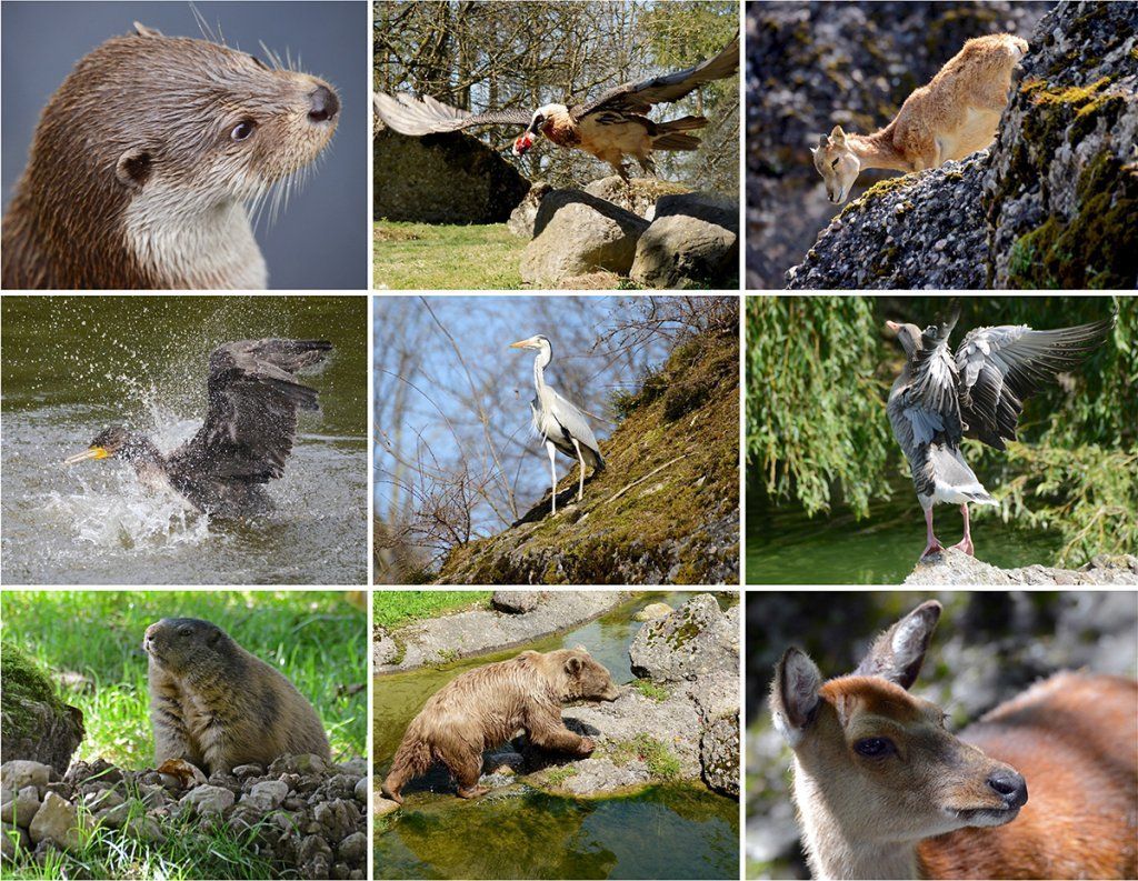 Fotografie Alfons Weber
