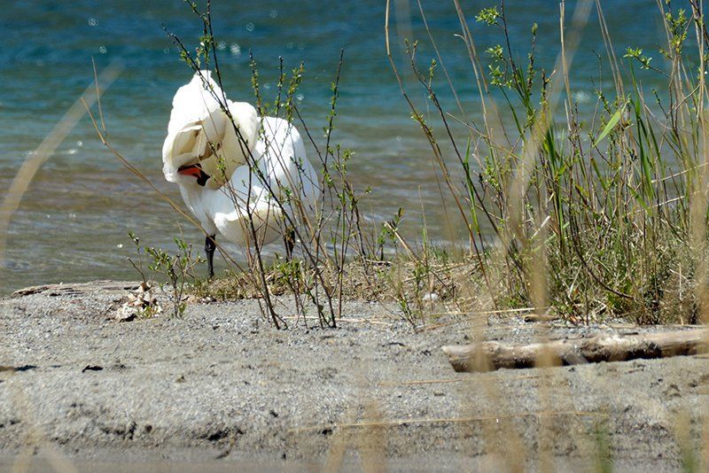 Fotografie Alfons Weber
