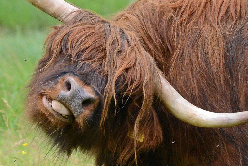 Fotografie Alfons Weber
