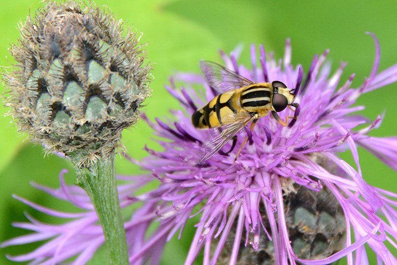 Fotografie Alfons Weber
