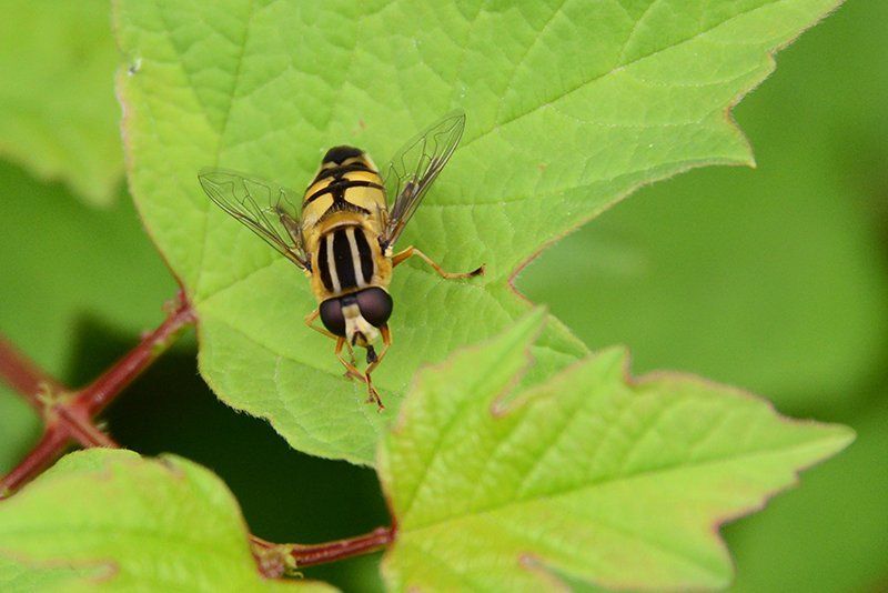 Fotografie Alfons Weber
