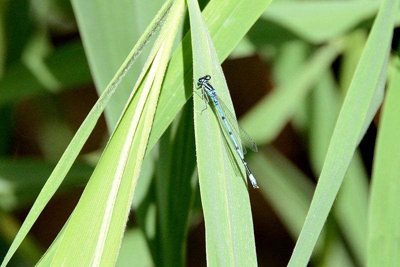 Fotografie Alfons Weber
