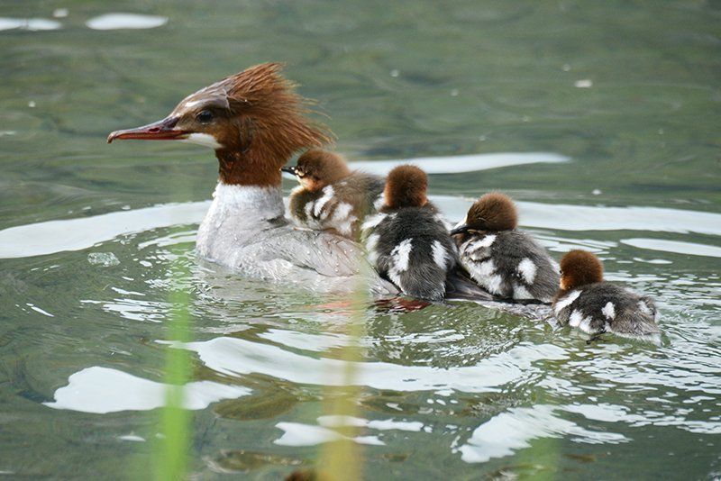 Fotografie Alfons Weber
