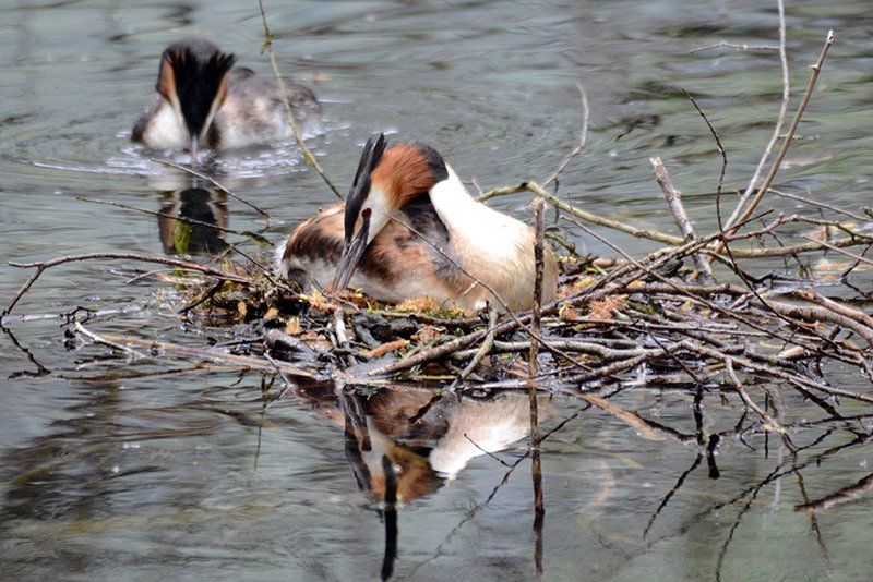 Fotografie Alfons Weber
