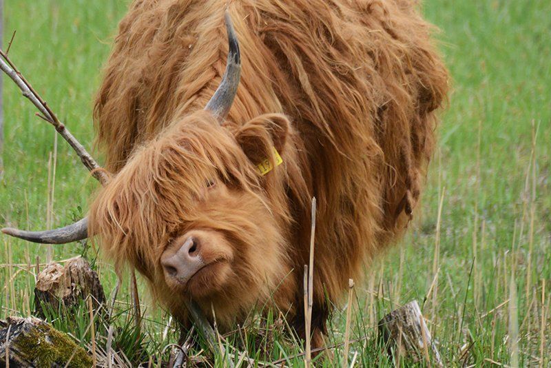 Fotografie Alfons Weber
