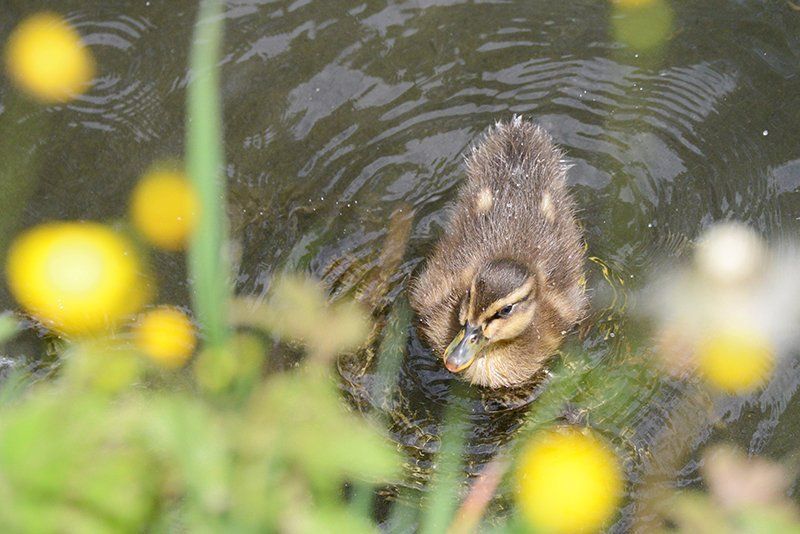 Fotografie Alfons Weber
