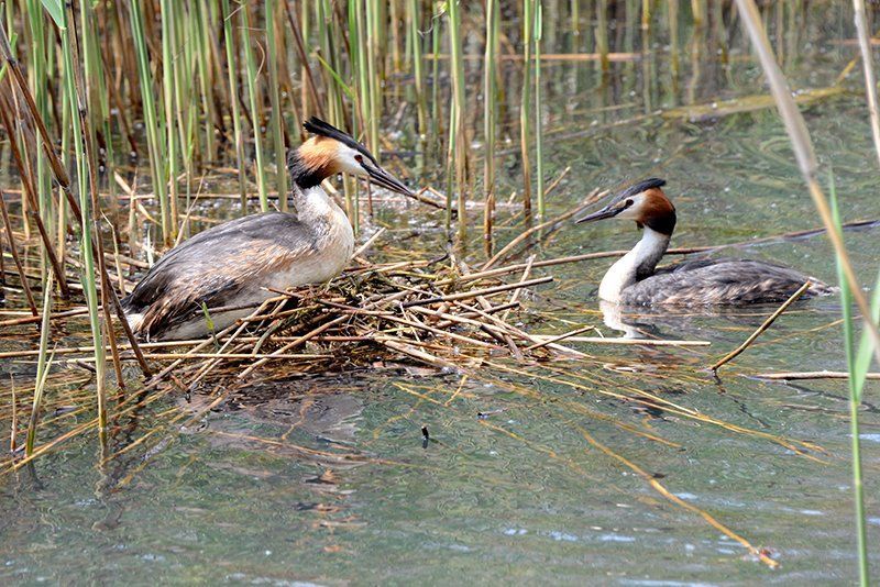 Fotografie Alfons Weber
