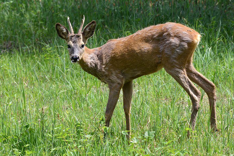 Fotografie Alfons Weber
