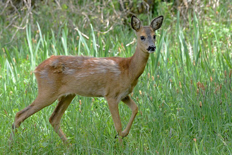 Fotografie Alfons Weber
