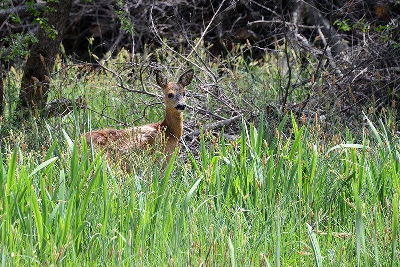 Fotografie Alfons Weber
