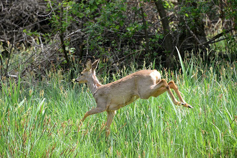 Fotografie Alfons Weber
