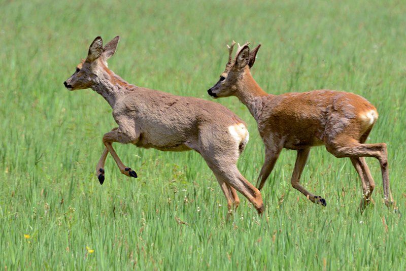 Fotografie Alfons Weber
