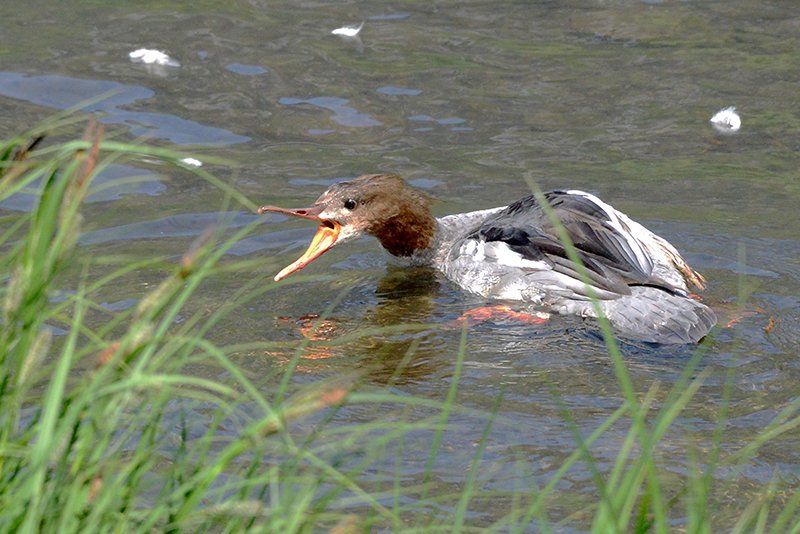 Fotografie Alfons Weber
