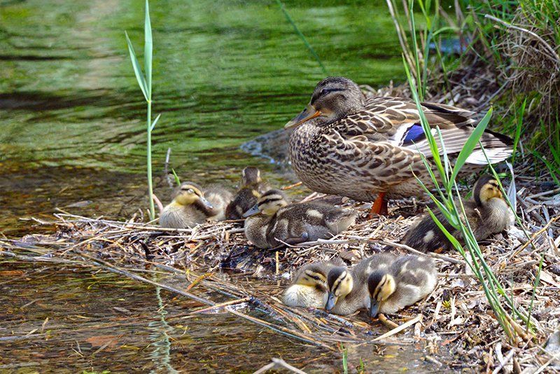 Fotografie Alfons Weber
