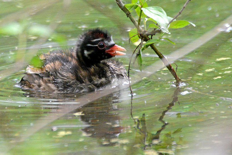 Fotografie Alfons Weber
