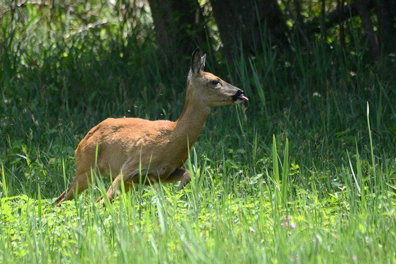 Fotografie Alfons Weber
