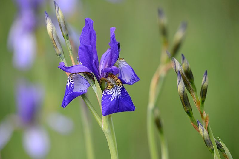 Fotografie Alfons Weber
