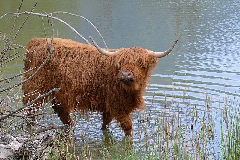 Fotografie Alfons Weber
