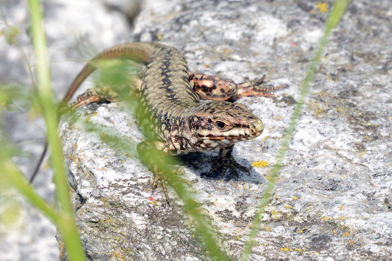Fotografie Alfons Weber
