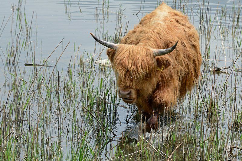 Fotografie Alfons Weber
