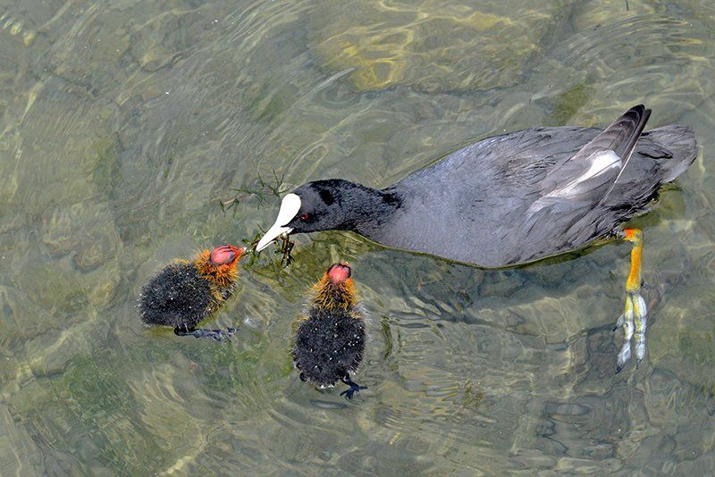 Fotografie Alfons Weber
