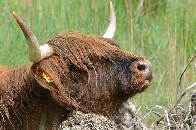 Fotografie Alfons Weber
