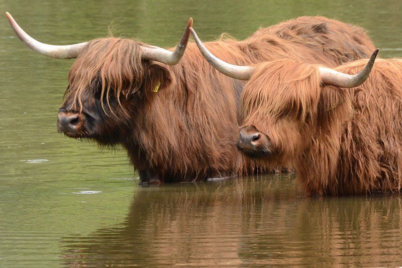 Fotografie Alfons Weber

