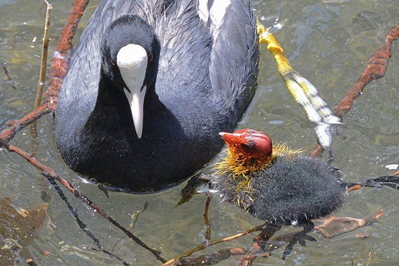 Fotografie Alfons Weber
